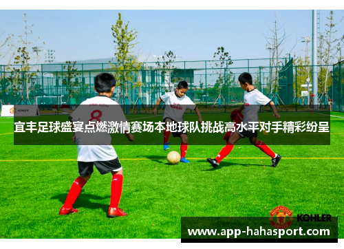 宜丰足球盛宴点燃激情赛场本地球队挑战高水平对手精彩纷呈