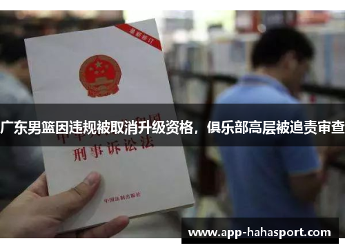 广东男篮因违规被取消升级资格，俱乐部高层被追责审查